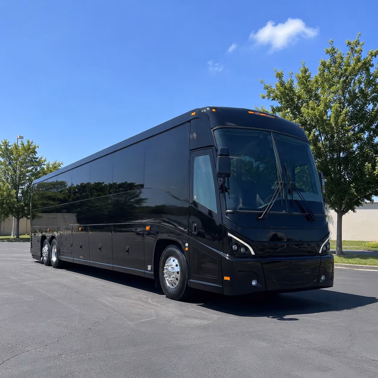 mount pleasant prom transportation onboard seating
